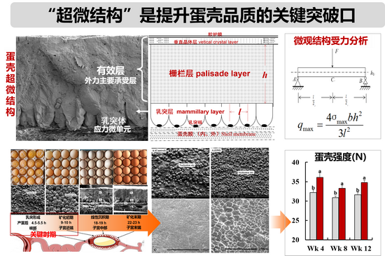 大北农第十届科技奖-所网正文.png