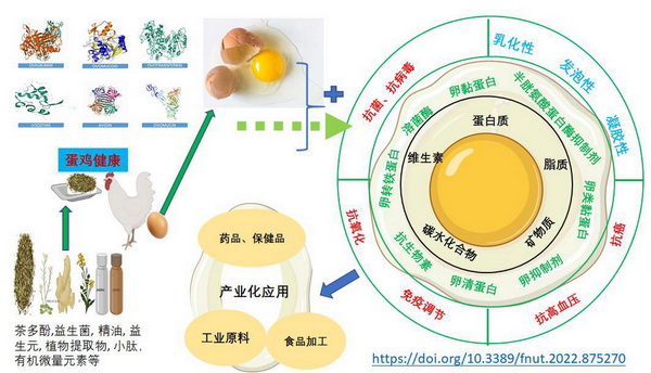 天然物改善蛋清-网站.jpg