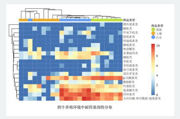 奶牛-所网.jpg