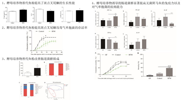 酵母培养物-所网正文.jpg