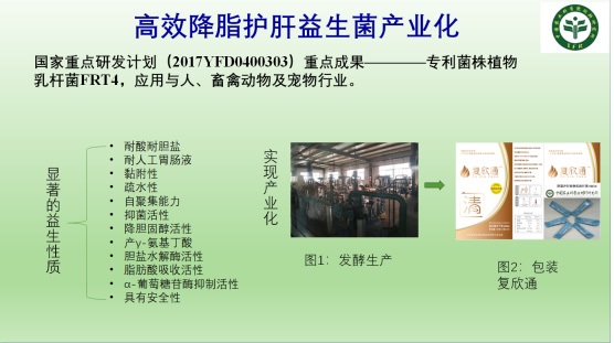 饲用植物乳杆菌.jpg
