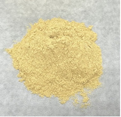 22 贝莱斯芽孢杆菌.jpg