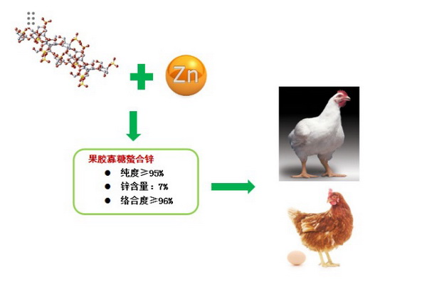 35 寡糖螯合锌.jpg