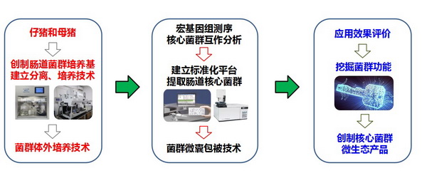28 肠道微生态.jpg