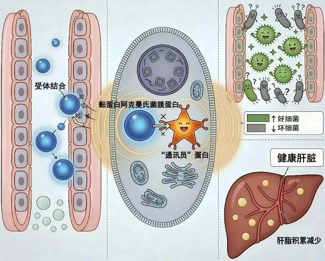 所网.jpg