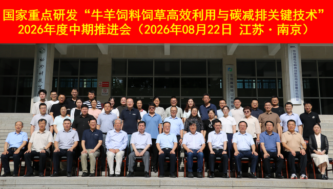 集体合影-所网.png